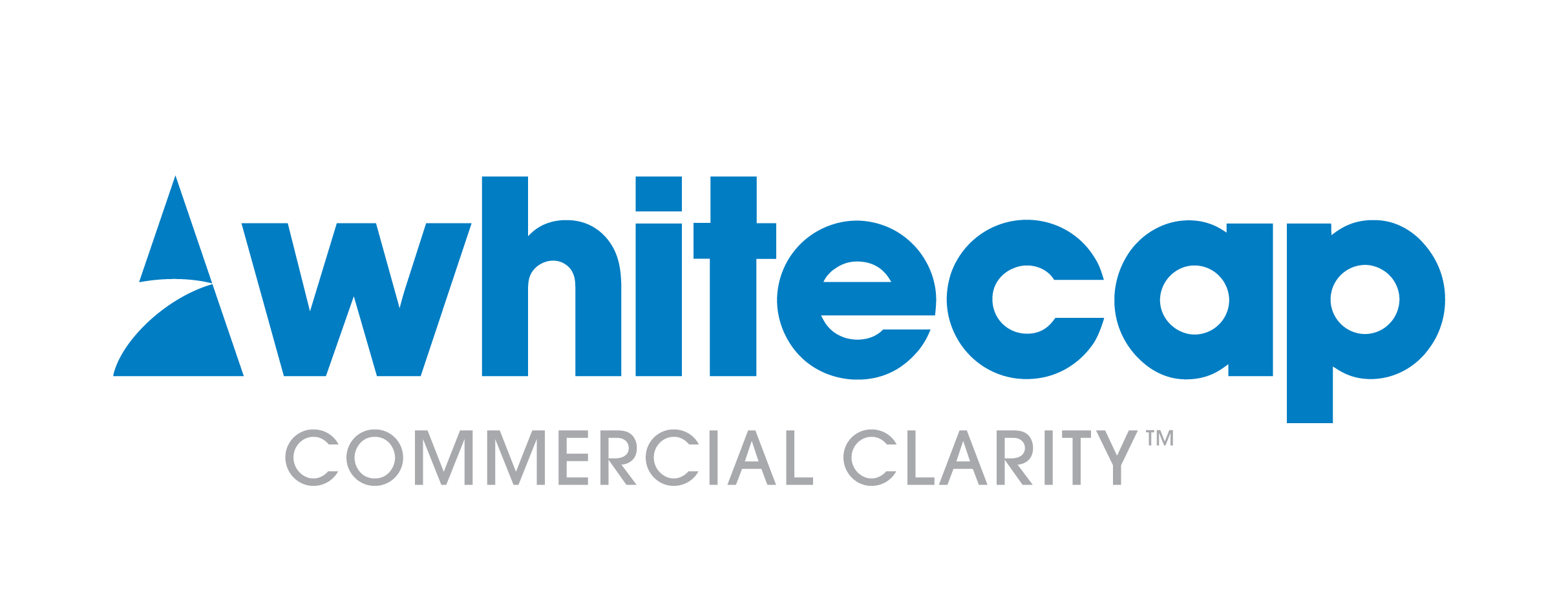 Whitecap Consulting logo