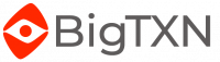 BigTXN-Logo-WEB